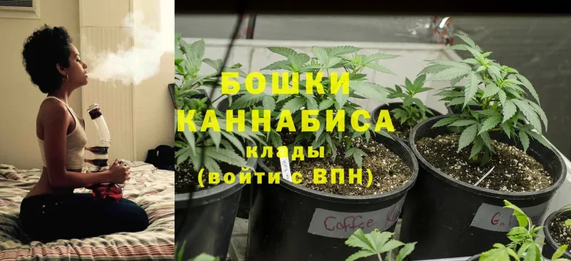 kraken маркетплейс  продажа наркотиков  нарко площадка состав  Бошки марихуана OG Kush  Калач-на-Дону 